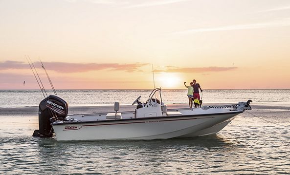 boston whaler 170 montauk