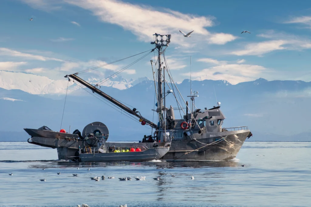 fishing boat for sale