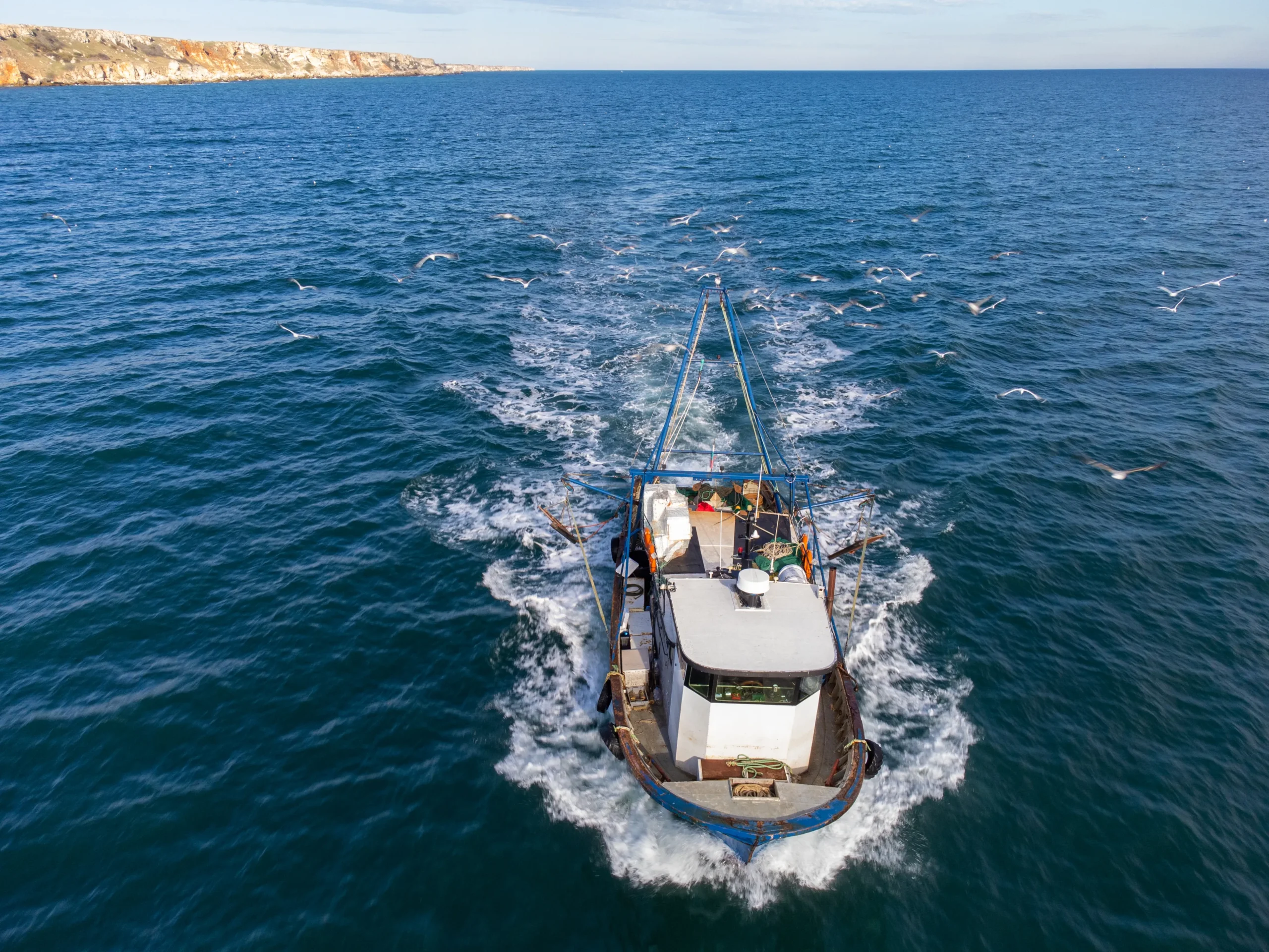 what are divots on a fishing boat
