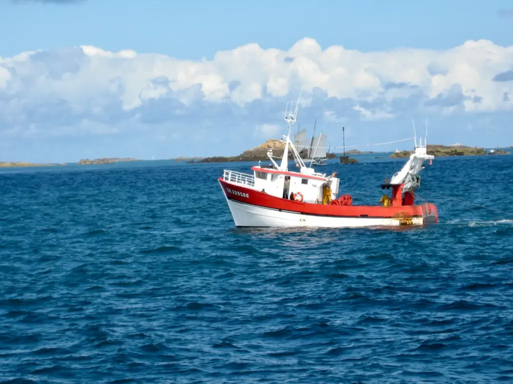 How Much Does Boating License Cost Float Finance