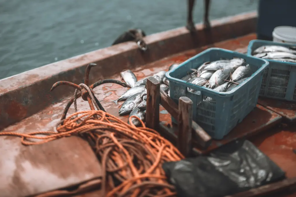 How much does a commercial fishing boat cost Float Finance (5)