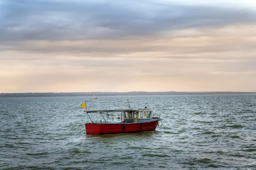 Who owns Sea Ray boats Float Finance (4)