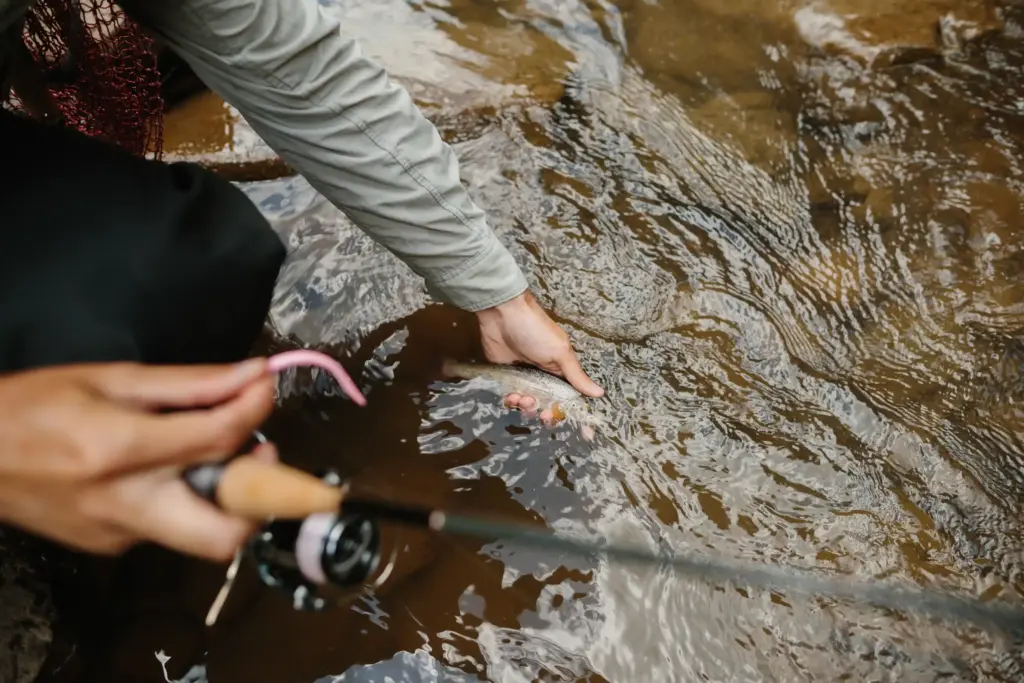 When Does Fishing Season Open Float Finance