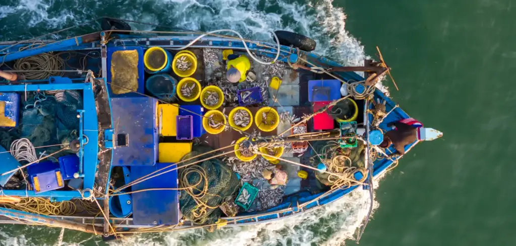 Why Fishing Is Important Float Finance (1)