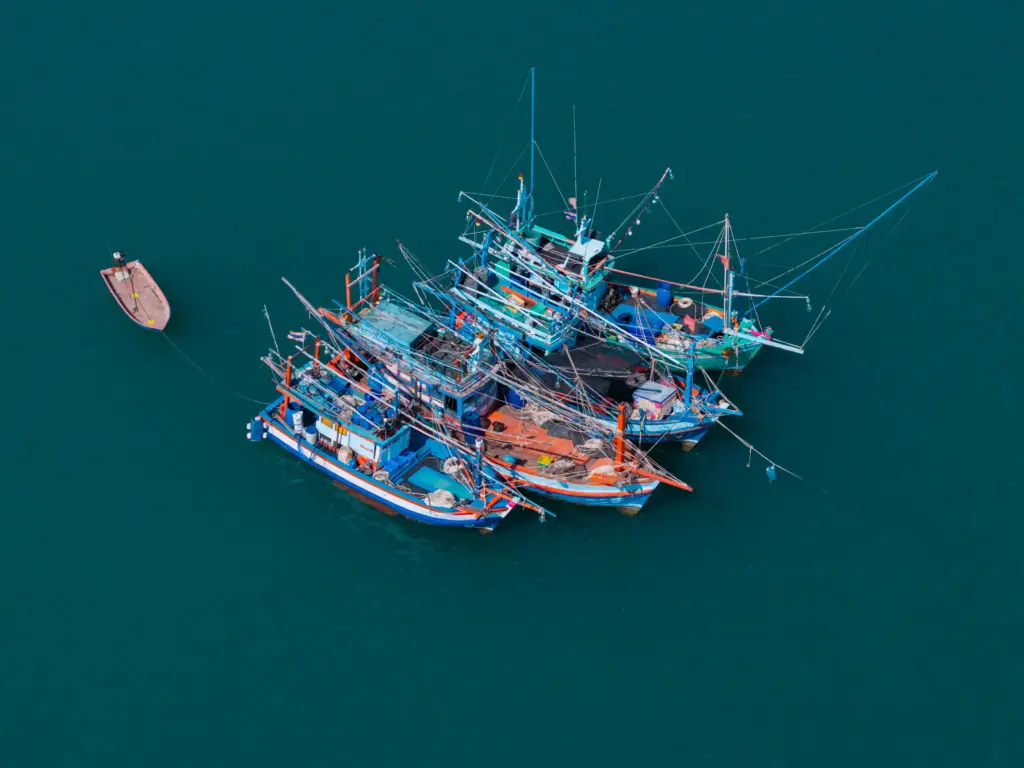 Why Fishing Is Important Float Finance (5)