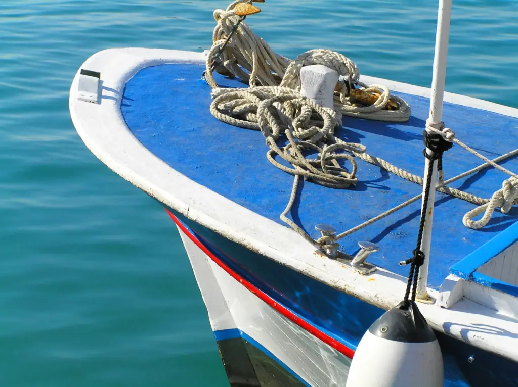 Where Fishing License West Alton NH