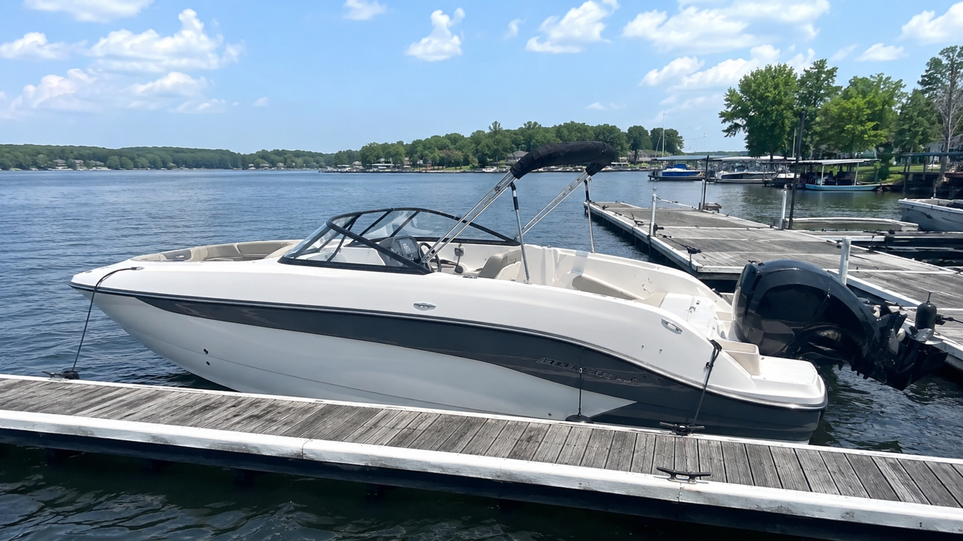 bayliner d20 05
