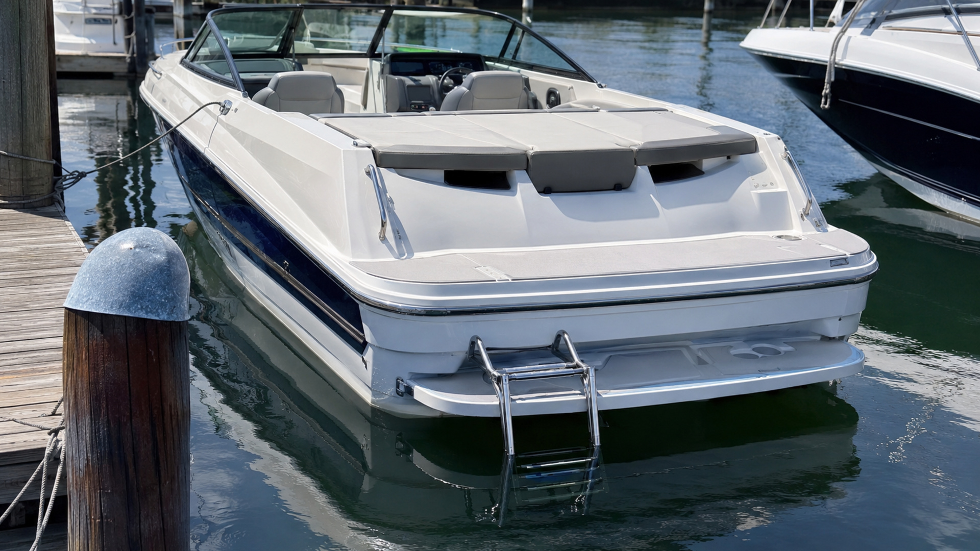 bayliner d20i 10