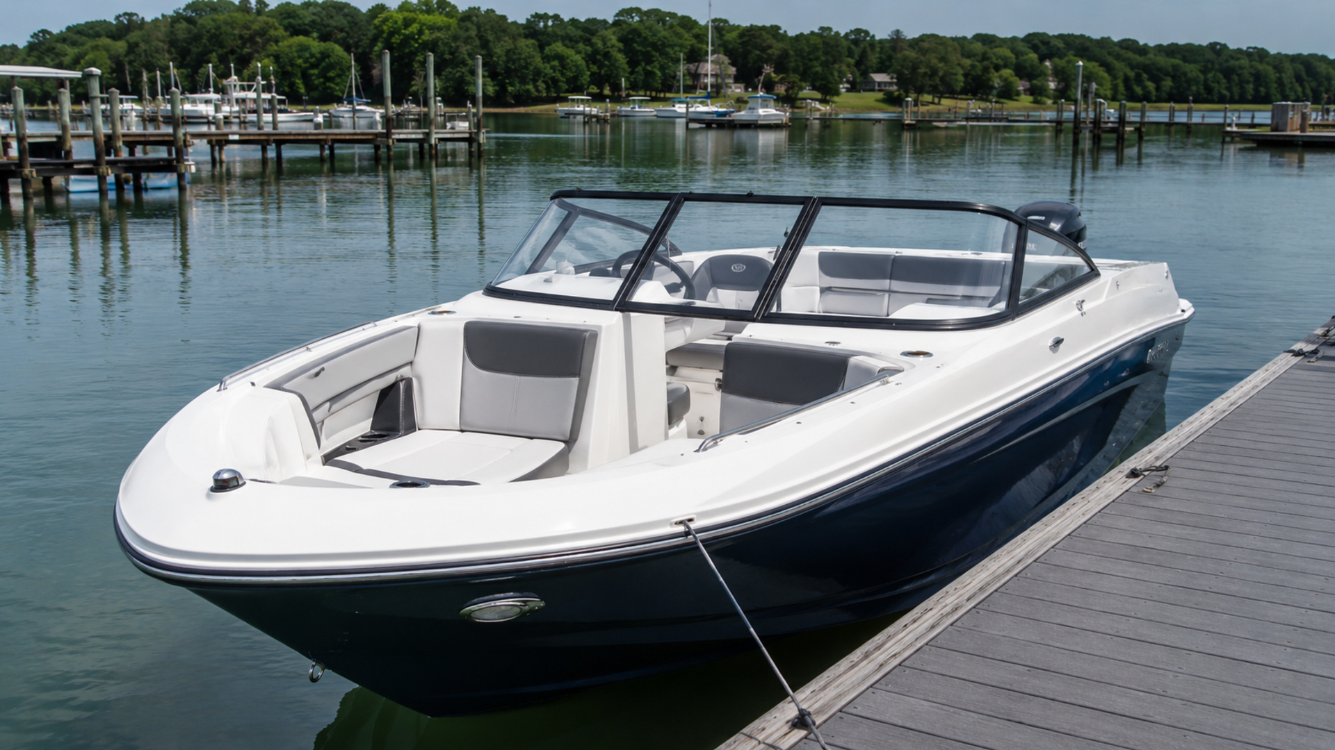 bayliner d22 20