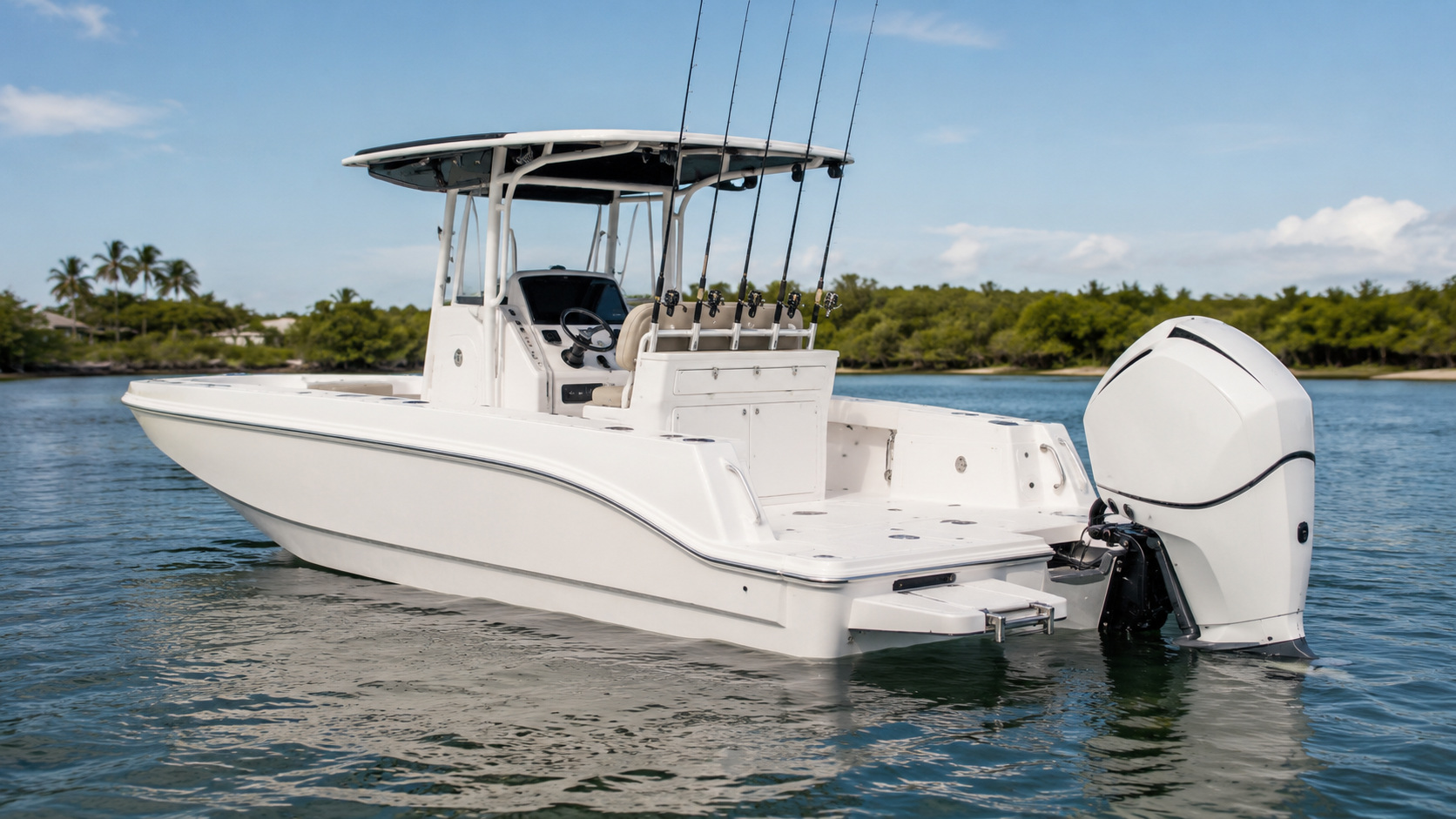 bayliner t20cc 17
