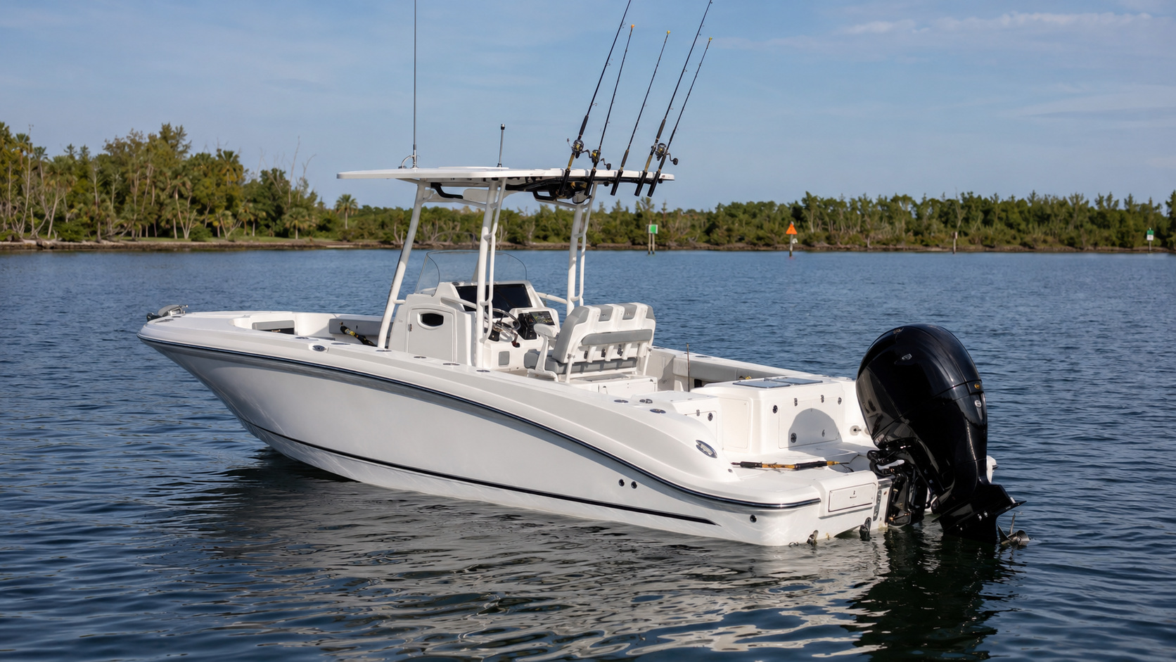 bayliner t24cc 17