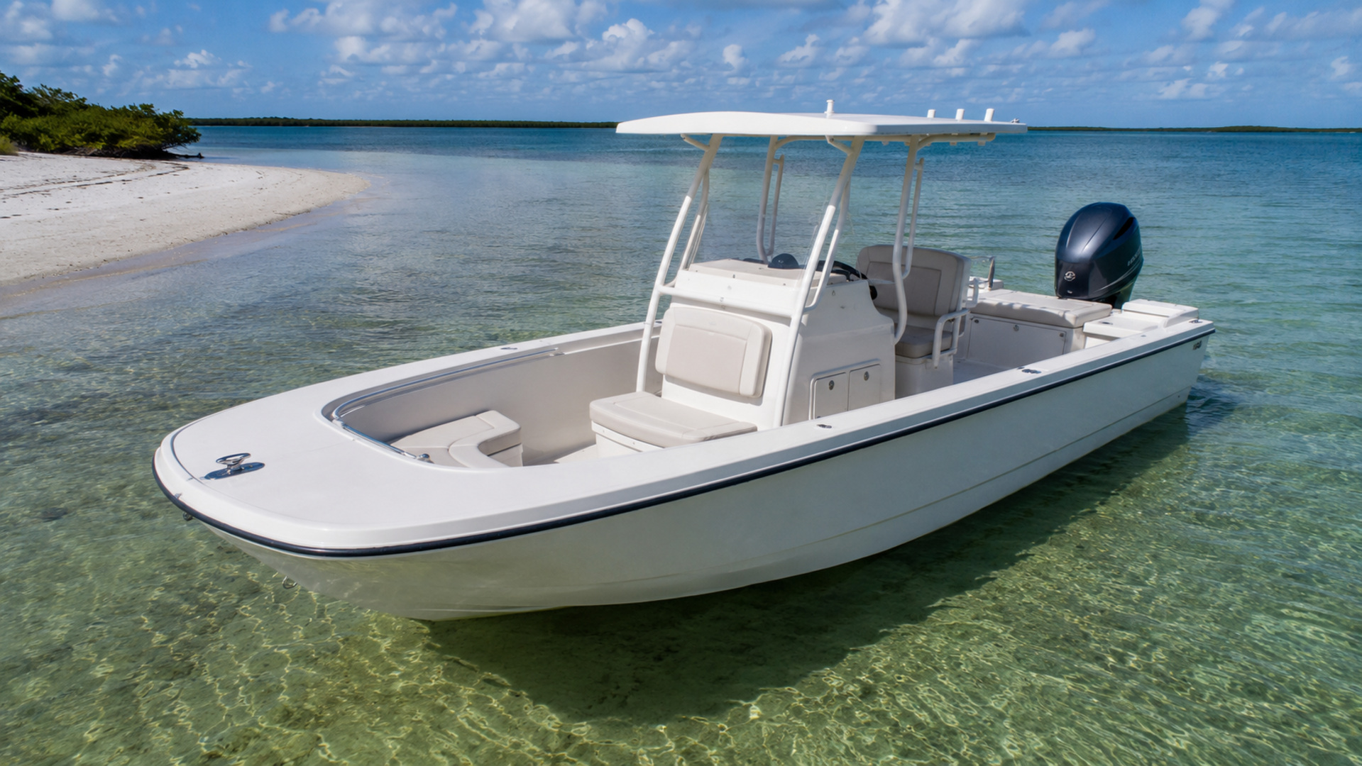 boston whaler 210 montauk 04