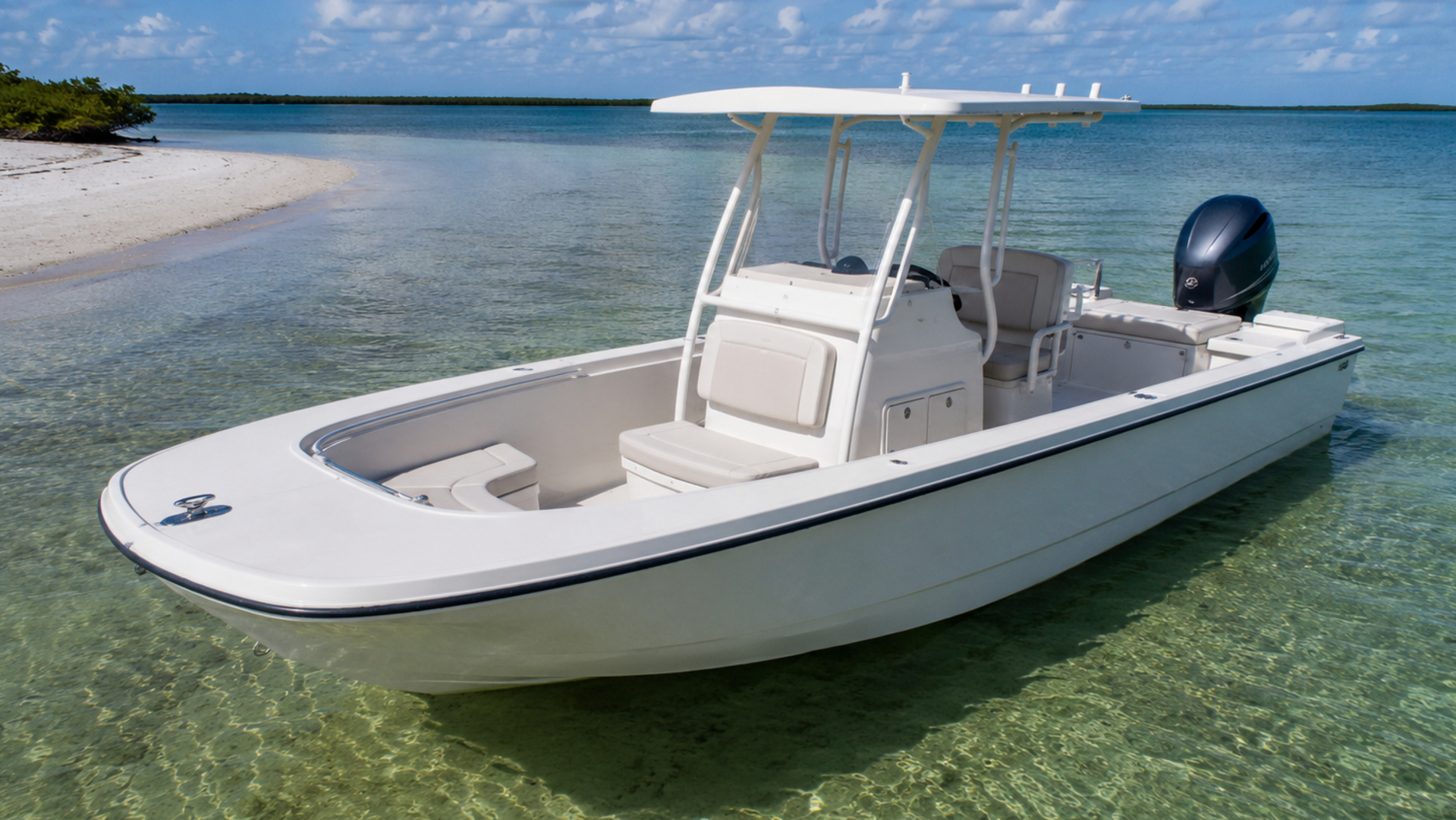 boston whaler 210 montauk 13