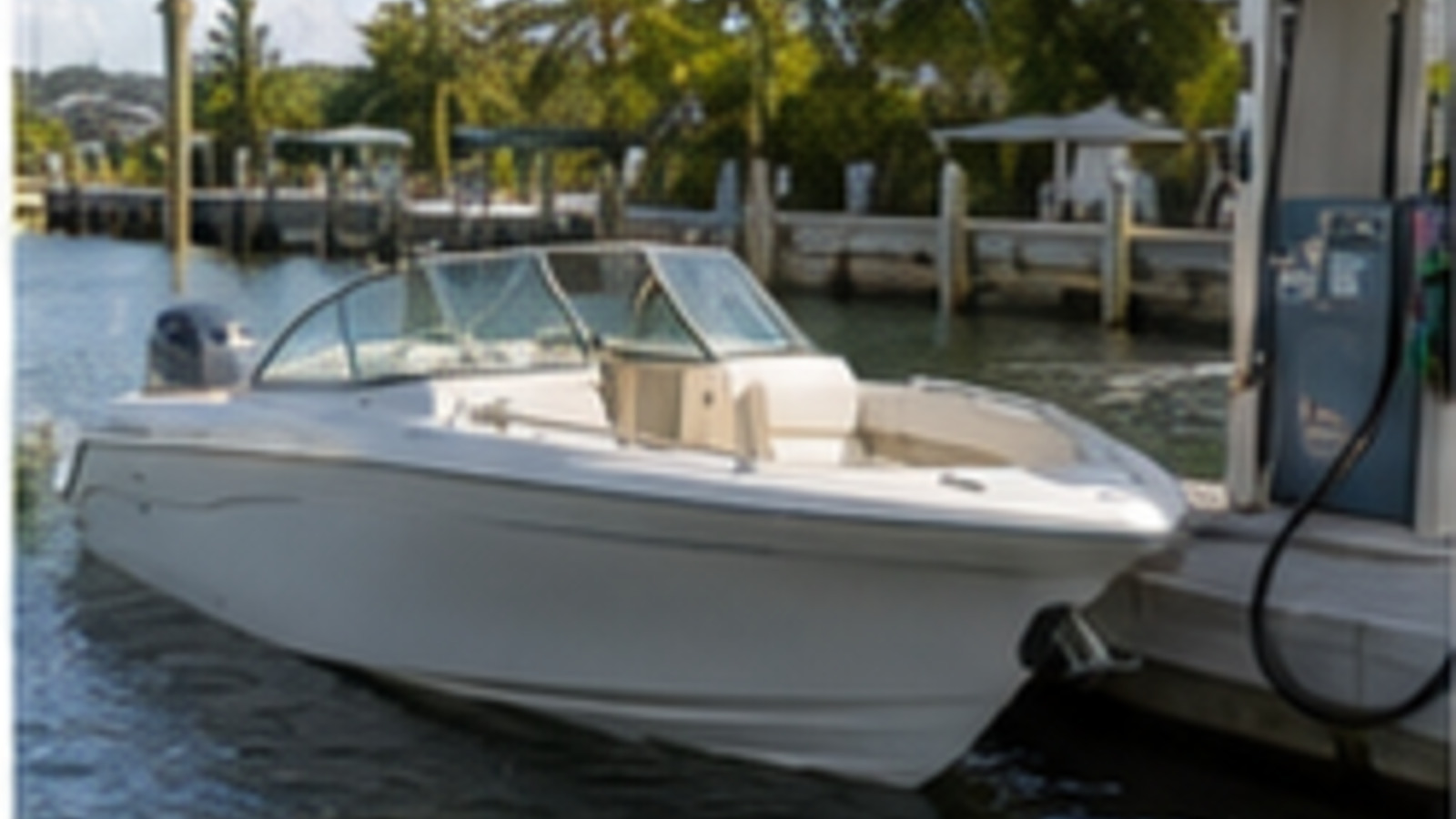 grady white freedom series freedom 235 starboard dockside stern 19
