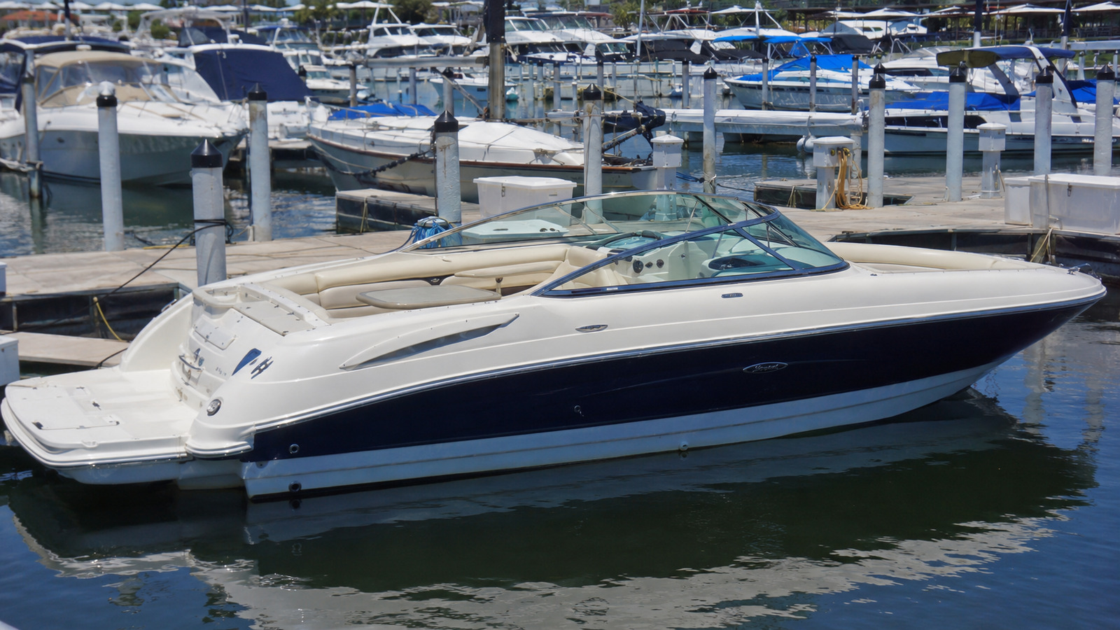 sea ray 300 sundeck dockside profile 05